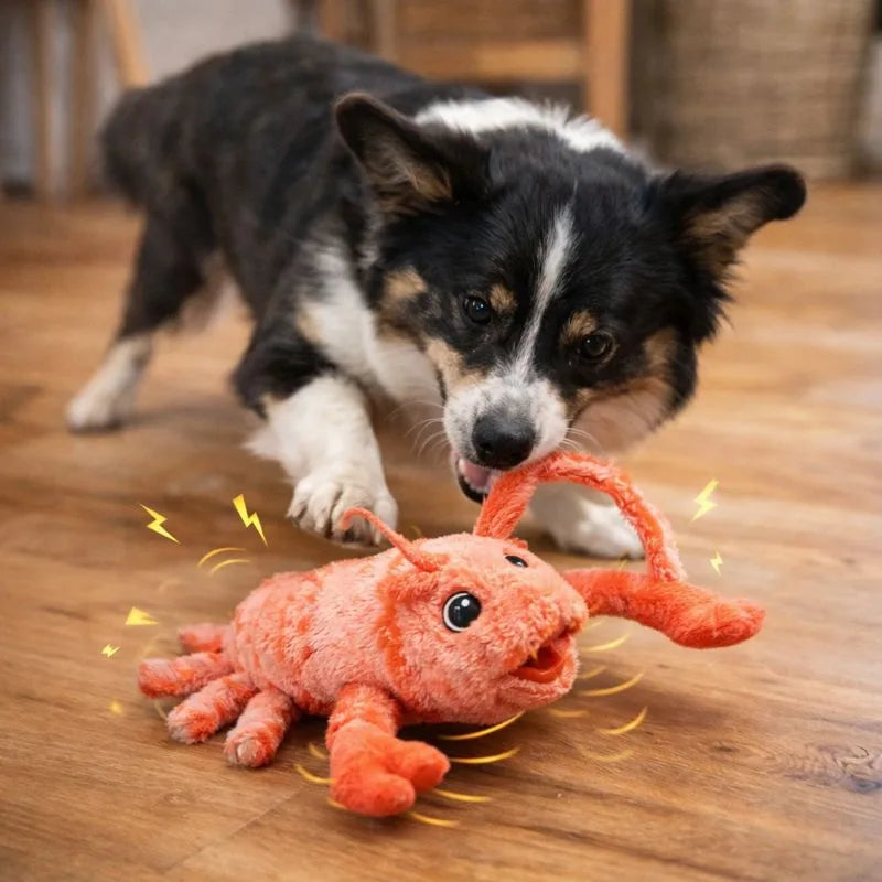 Keep your dog active and entertained. The Wiggly Lobster Dog Toy stimulates instincts, reduces boredom and delivers hours of fun. Shop now!