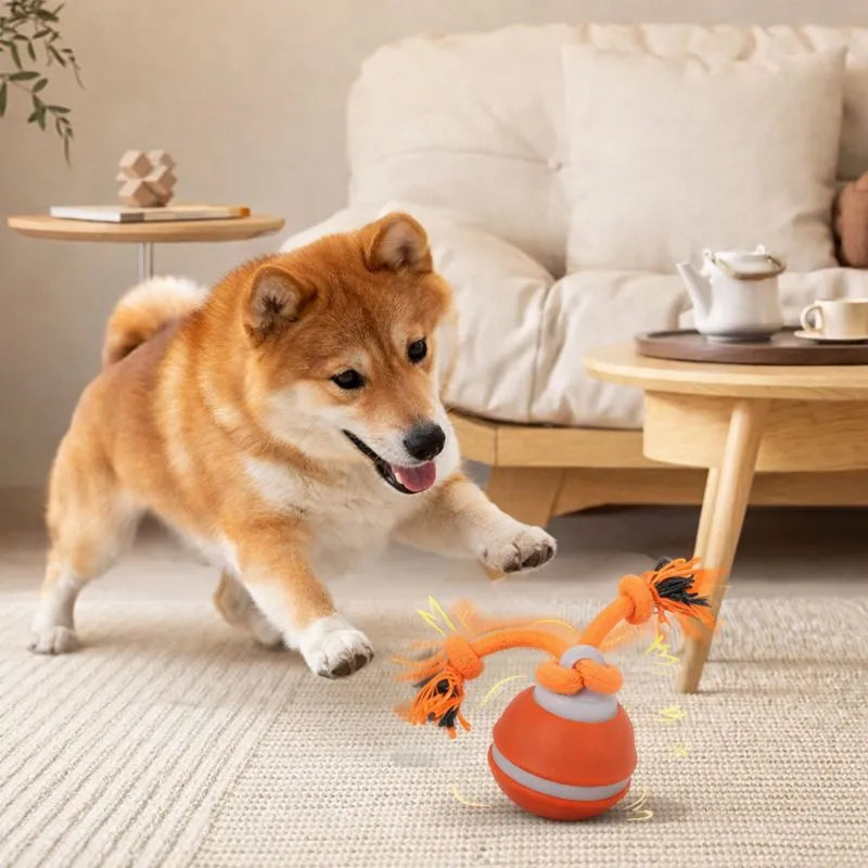 Keep your dog active and entertained. Smart interactive dog ball with motion sensor, rechargeable battery and safe design. Shop now!