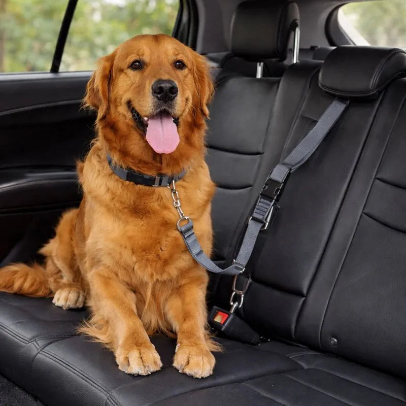Dog Car Seat Belt – Safe, Flexible & Made for Everyday Adventures
