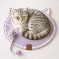 Cat Scratching Toy Carpet