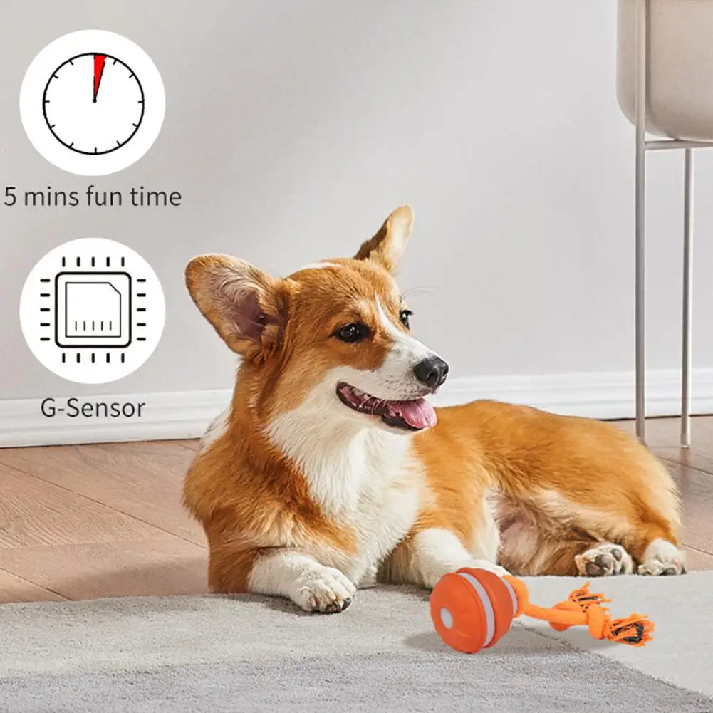 Smart Interactive Rechargeable Dog Ball – Automatic Motion Training Toy