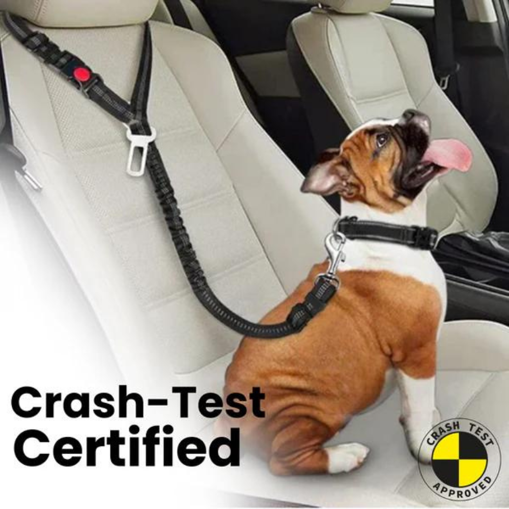 Dog Car Seat Belt