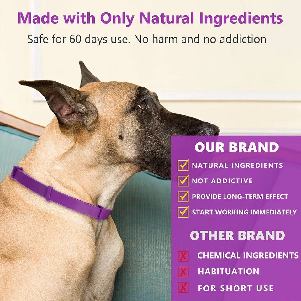 Natural Calming Collar for Dogs & Cats