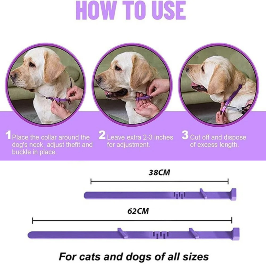 Natural Calming Collar for Dogs & Cats
