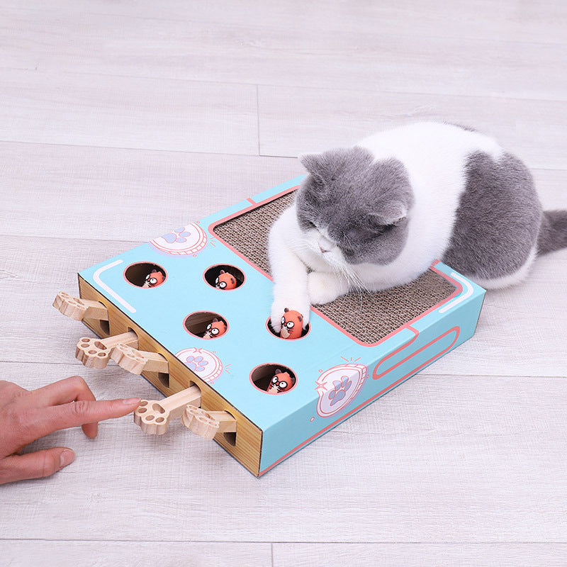 Peek-a-Boo MultiBox Cat Toy