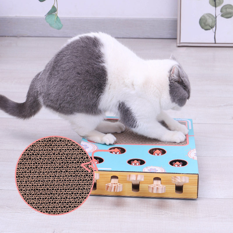 Peek-a-Boo MultiBox Cat Toy