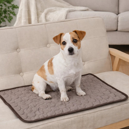 Help your pet stay cool on hot days. Self-cooling pad for dogs and cats – no electricity or freezing needed.