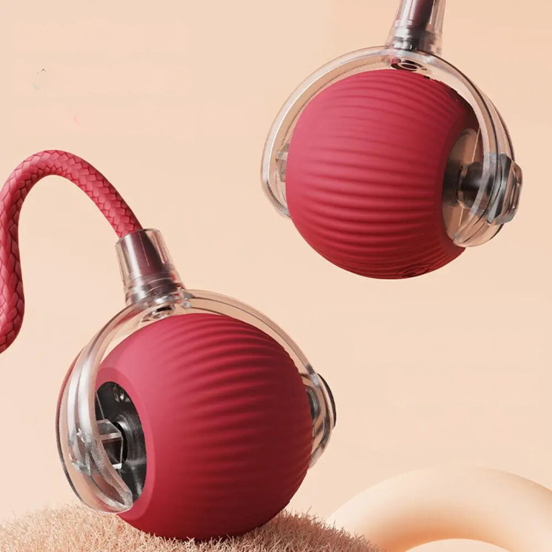 Interactive Cat Ball with Moving Tail Toy