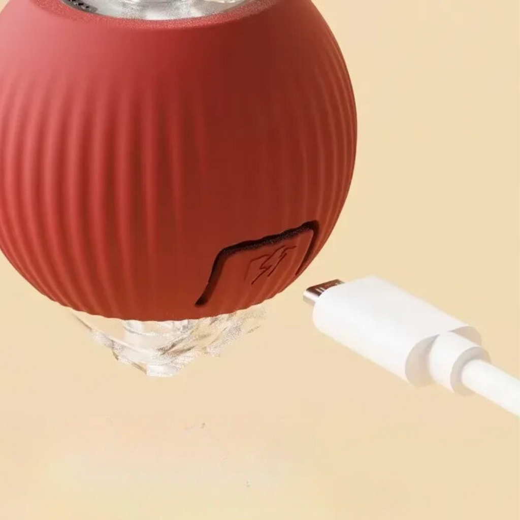 Interactive Rolling Ball with Tail for Dogs